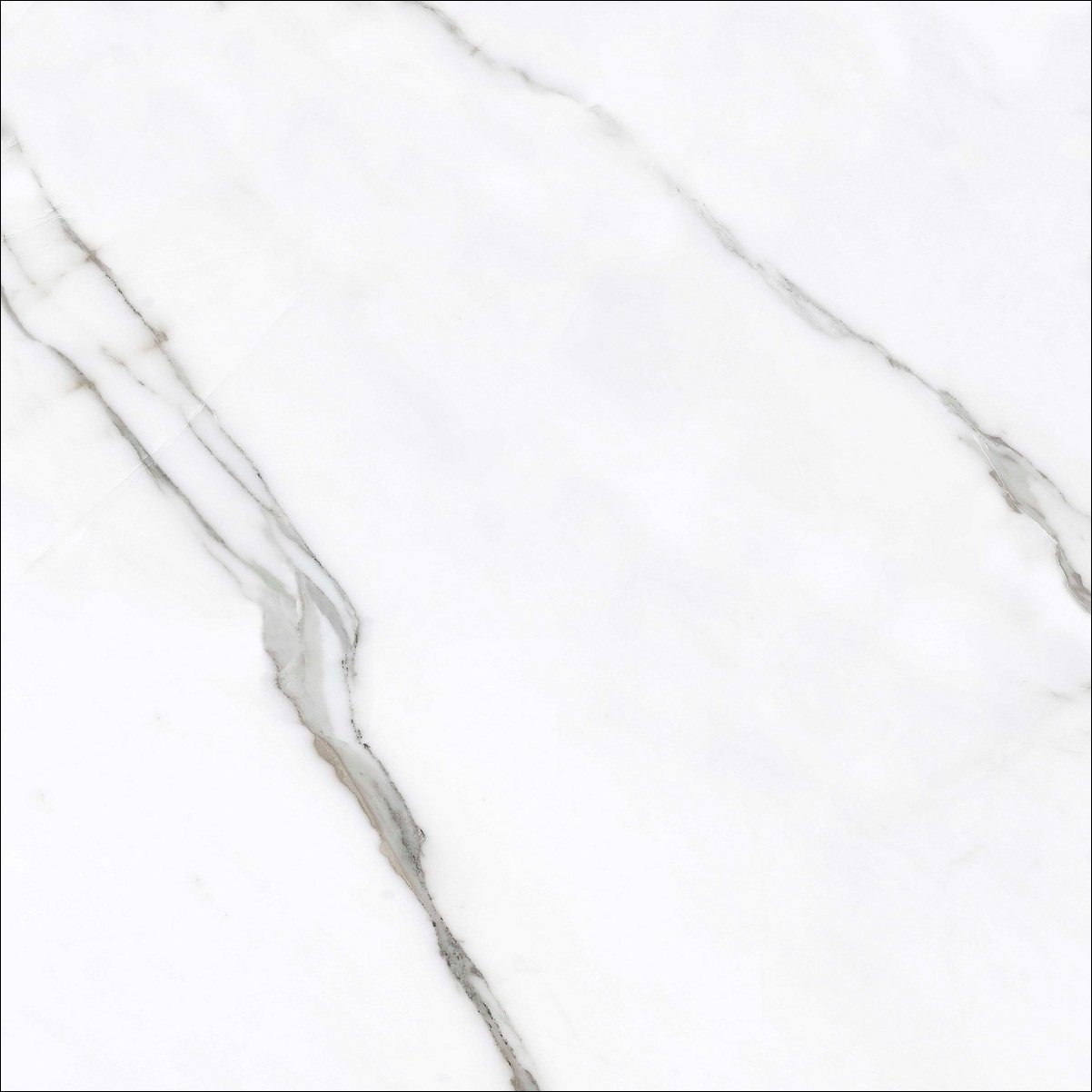 Indogress Titanio Statuario 60x60